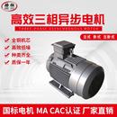 4极三相异步电机11W380V交流立式 160M 电动机 YE3