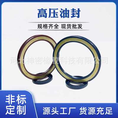 高压油封BABSL TCV/TCN1液压泵马达油封 30*52*7 32*52*6