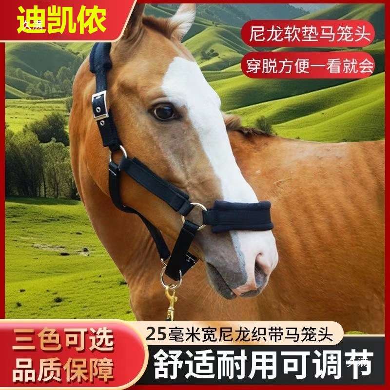 马具马术用品马笼头牵引龙头马头套牵引绳马龙套笼头马装备