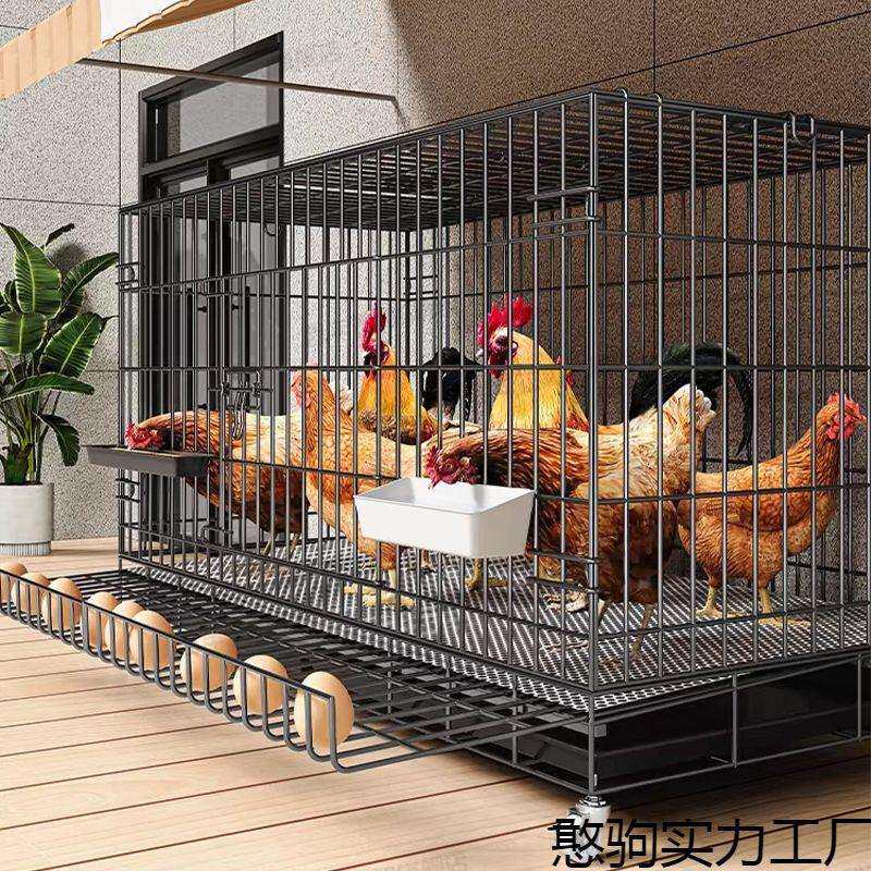 鸡笼子家用养鸡笼大号特大号自动清粪折叠养殖笼鸡舍鸭鹅兔笼铁艺