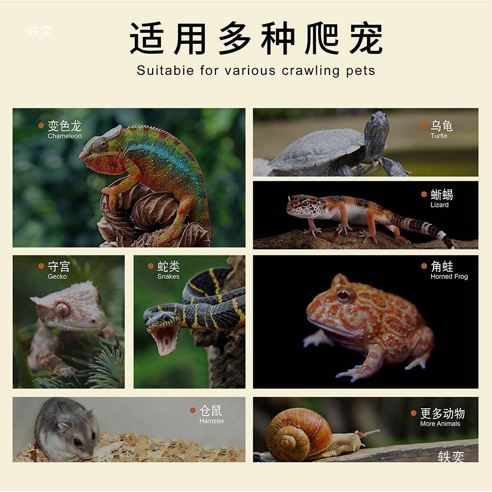 铝合金爬宠玻璃缸陆龟饲养箱鬃狮蜥蜴守宫沙漠雨林爬虫缸造景