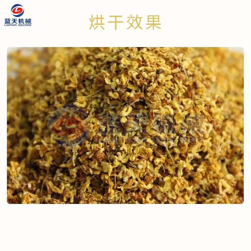 桂花烘干机电加热 小型家用金桂岩桂烘干箱 桂花茶木犀花烘干设备