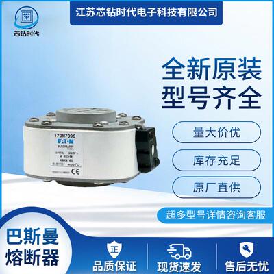 170M7098170M7099170M7100巴斯曼BUSSMANN熔断器保险丝