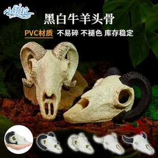 恐龙头骨躲避屋 新款爬宠牛羊动物造景 仿真骸骨鱼缸装饰摆件