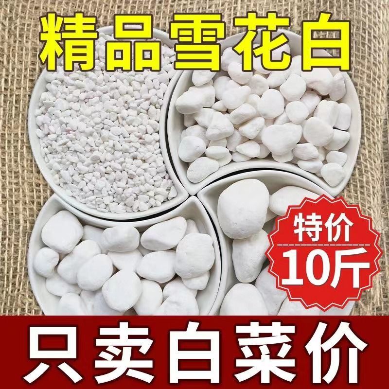 水磨石石米白色透水石子园林花圃造景砾石白色石米水洗石黑色石米