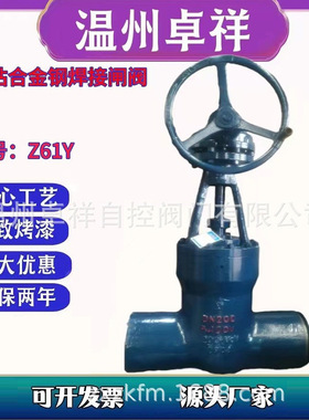 高温高压电站闸阀  Z61Y-100V 170V电站焊接高压闸阀 合金钢材质