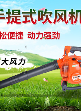 意大利欧玛BV300吹风机 园林机械吹叶工具落叶吹吸机道路吹叶机
