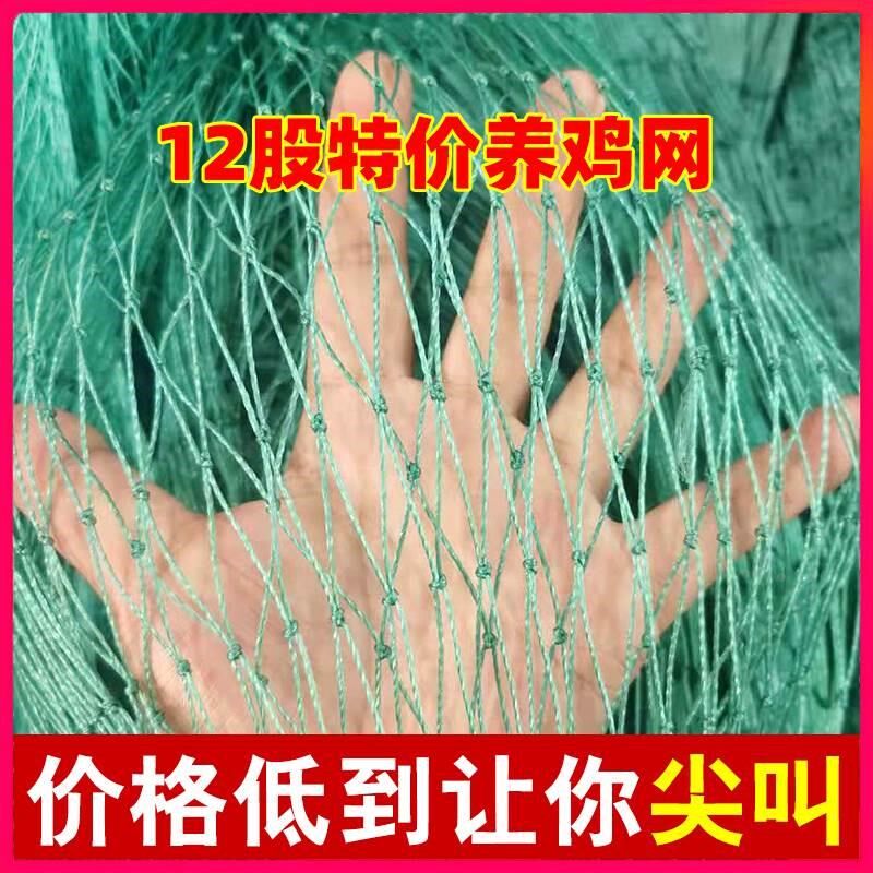 养殖网养鸡网尼龙网拦鸡围鸭网家禽塑料网护栏网菜园围网防护网鱼,农机/农具/农膜,其它农用工具,淘宝优惠券,粉丝福利购,淘宝优惠卷