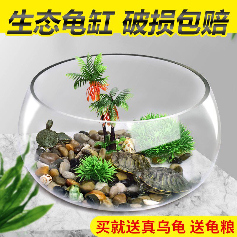 乌龟缸玻璃圆形养殖缸箱办公桌家用小鱼创意小型迷你桌面龟缸造景
