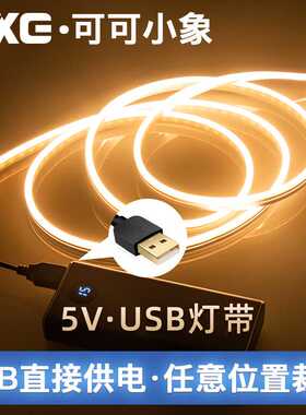 led可充电式灯带5v低压超亮电池款usb柔性霓虹硅胶软灯带条不插电