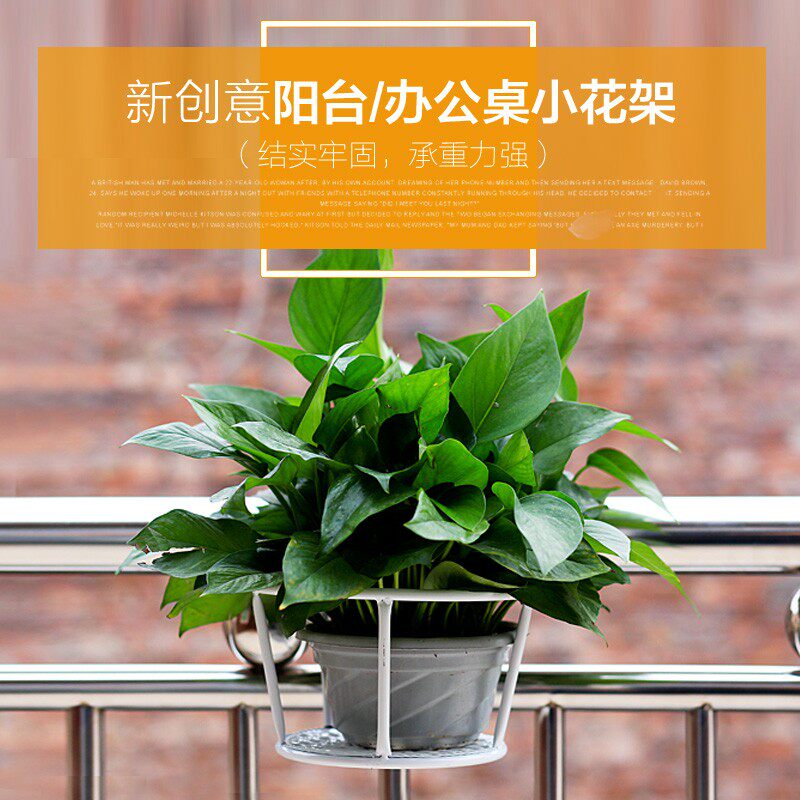 铁艺办公挂架阳台栏杆花架吊兰绿萝悬挂花盆架挂式窗台护栏花架子