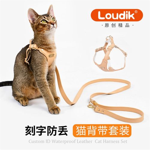 Loudik柔软皮质猫背带猫咪背心式牵引绳宠物胸背遛猫绳外出小型犬