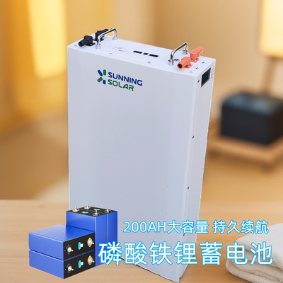 锂电池48V磷酸铁锂光伏储能电池并离网太阳能储能系统家用LiFePO4