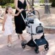 BebeRoad T3宠物推车轻便折叠可分离遛狗小型犬猫咪外出四轮减震
