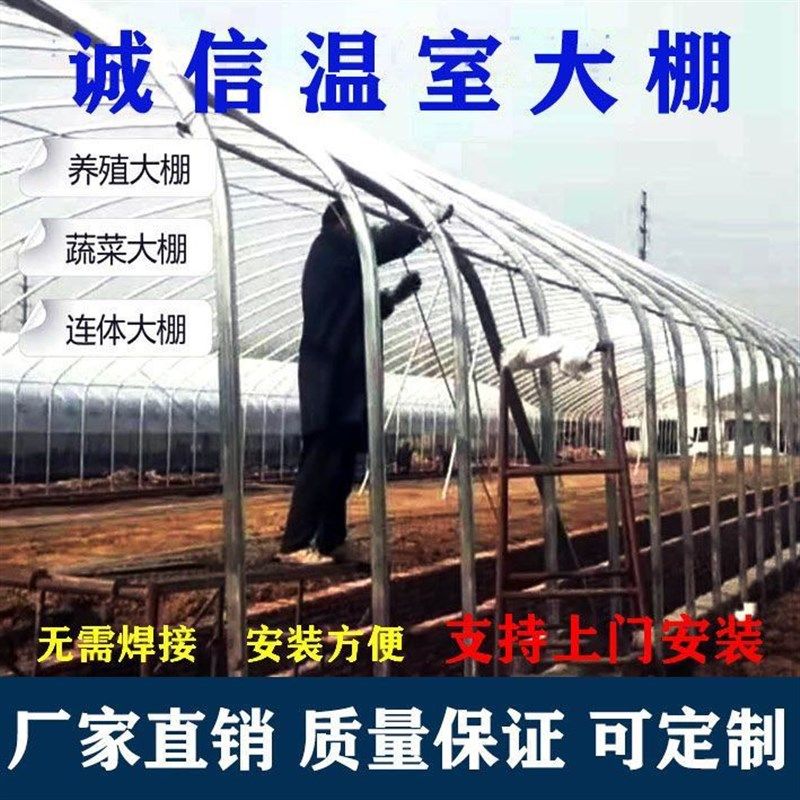 种植大棚大棚骨架养殖大棚鸡棚养猪棚蔬菜大棚花卉棚温室大棚厂家