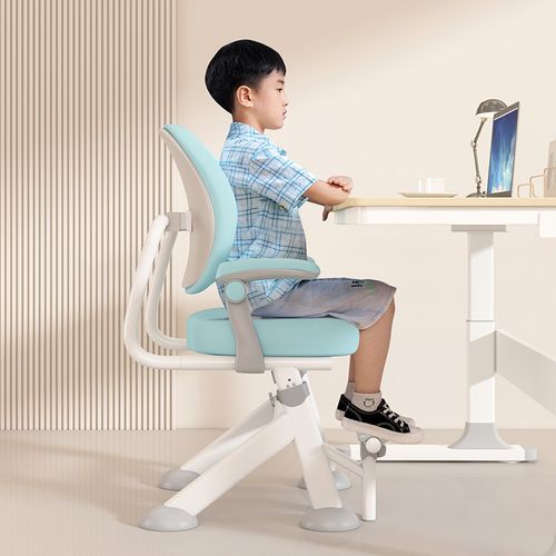儿童学习椅子小学生写字椅可升降矫正坐姿座椅可调节书桌椅子家用