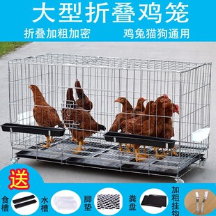 鸡笼家用养殖鸡笼运输笼大号鸡笼子母鸡笼管蛋鸡笼代发专用