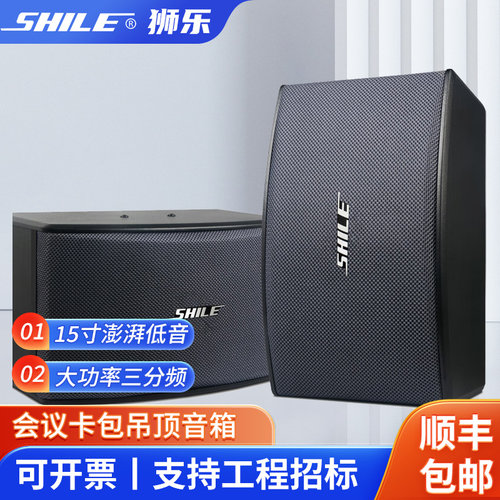 狮乐(SHILE)BX-119家庭卡拉多功能厅会议用音响可壁挂10英寸