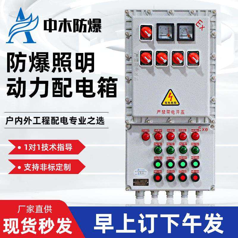 防爆配电箱仪表控制箱防爆照明动力开关电源检修箱接线箱配电柜