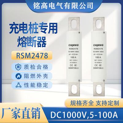 DC1000V充电桩熔断器RSM2478汽车熔断器(RS309,FWH100A,HEV)100A