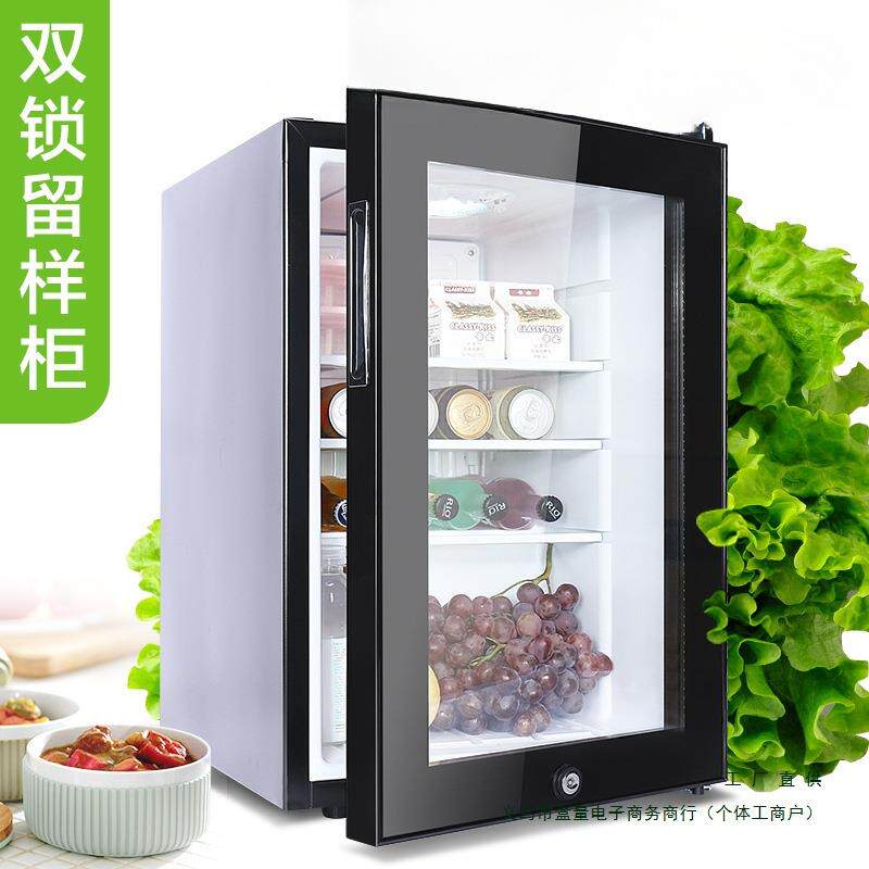 幼儿园食品留样柜饮料冷柜小冰箱小型商用托管冷藏保鲜展示柜双锁