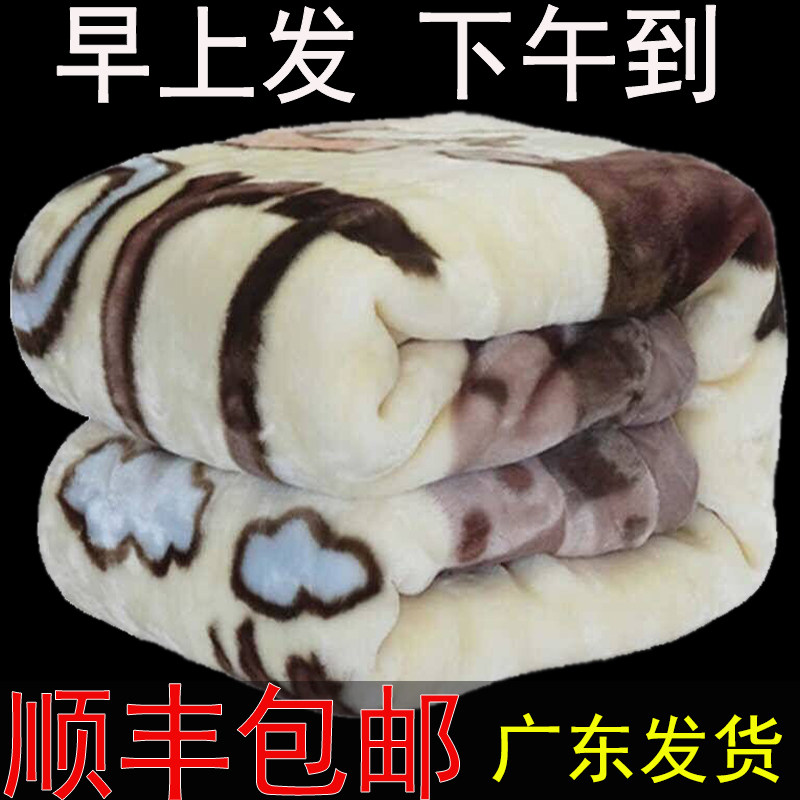 双层加厚拉舍尔毛毯单双人珊瑚绒毯冬季午睡盖毯学生宿舍法兰绒被