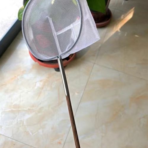 鱼缸网捞鸡翅木手工实木精工苗捞斗鱼网捞3D鱼抄网虾捞小鱼苗网捞