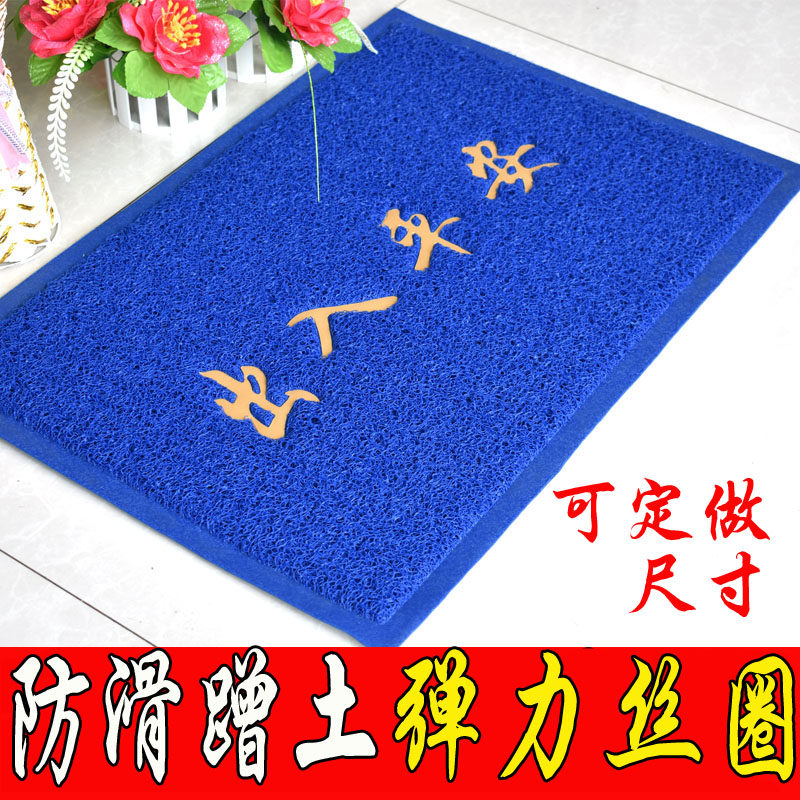 蓝色入户大门口进门地垫家用出入地毯