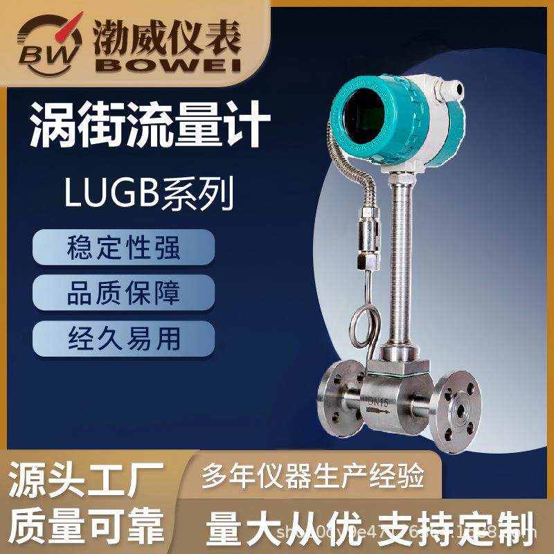 涡街流量计LUGB系列气体蒸汽液体沼气天然气氮气流量计DN50数显