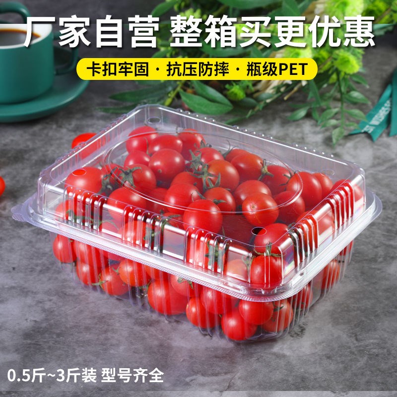 一次性水果打包盒家用水果果切透明塑料蓝莓盒一斤装加厚包装盒子