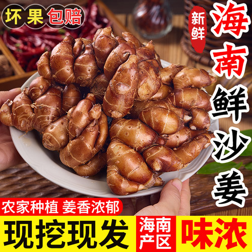 现挖海南红皮沙姜优质沙姜