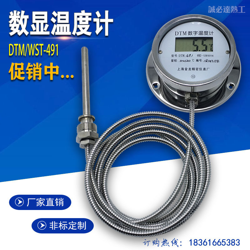 数显温度计WST DTM491数字高精度耐腐蚀防水带探头带软管 工业表