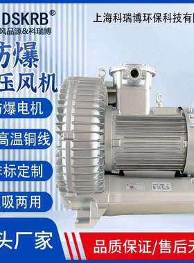 防爆型气体BT4防爆高压风机 漩涡式真空泵 4KW高压涡流风机FRB