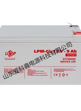 Logicpower蓄电池 LPM-GL12V-9AH 应急电源电池12V9AH