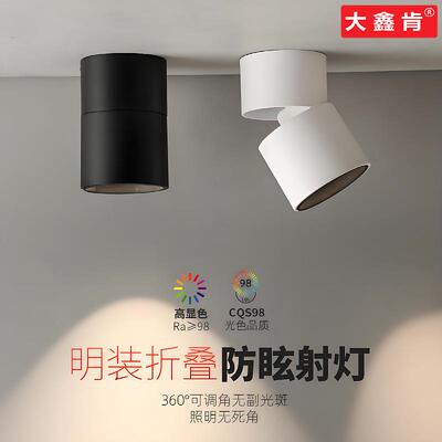 明装折叠射灯RA98防眩卧室筒灯圆形LED单双头四头天花客厅无主灯