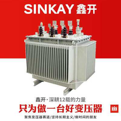 s11-m250kva200千瓦630伏安800kw1600全铜芯油浸式电力三相变压器