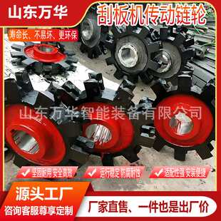 刮板机传动链轮  铸钢圆环工业传动链轮  工业单双排机械传动链轮