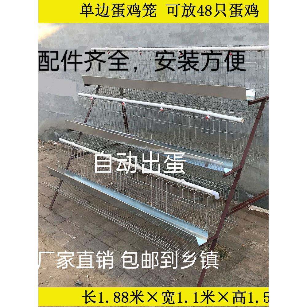 家用蛋鸡笼阳台养鸡笼自动出蛋鸡笼小号养殖家用蛋托收蛋折叠鸡笼