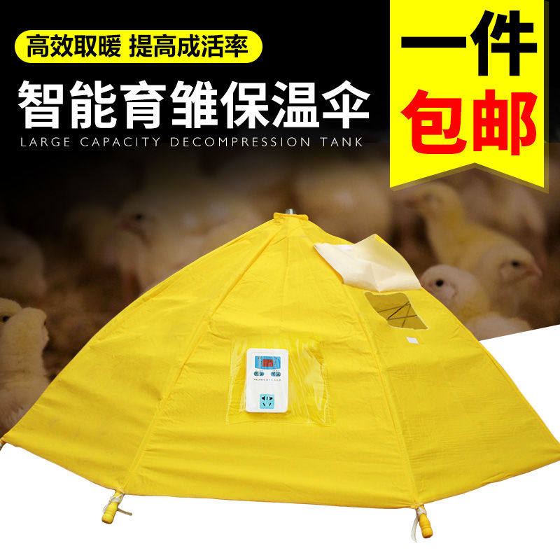 小鸡育雏伞育雏器保温箱孵化机脱温设备自动控温伞保温伞养鸡设备
