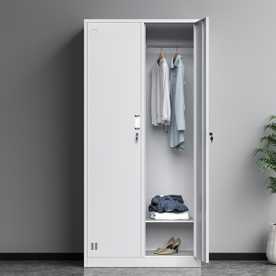 铁皮二门更衣柜子健身房浴室宿舍员工储物柜带锁办公室两门换衣柜