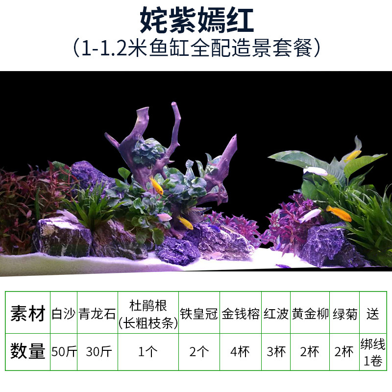 大鱼缸装饰造景套米1-体.2餐金鱼草缸天然真水草活1假山石头沉木