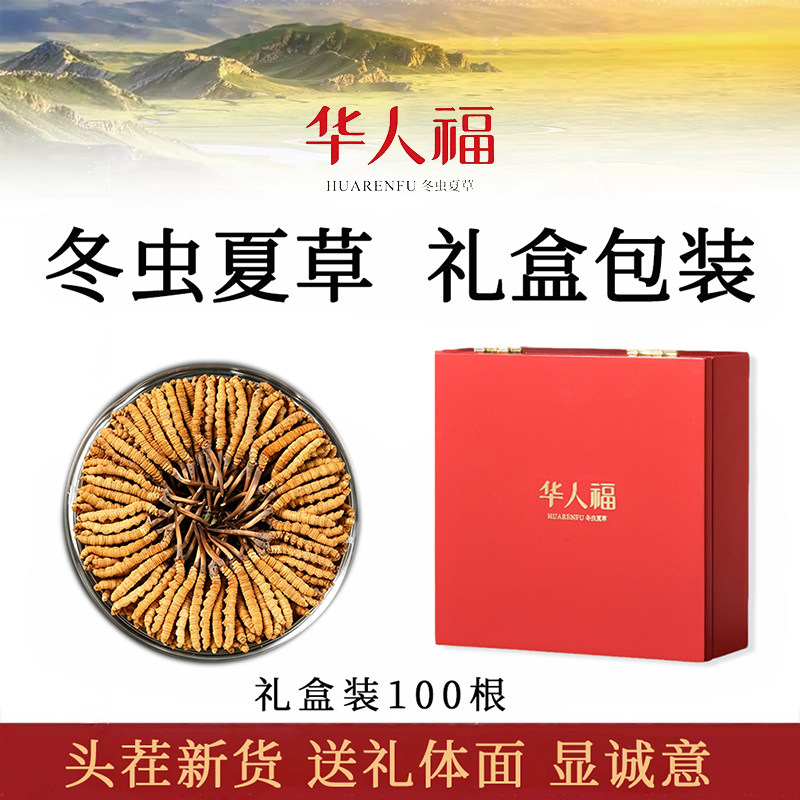 华人福正品冬虫夏草礼盒装100根新货头茬鲜虫草滋补泡酒端午送礼