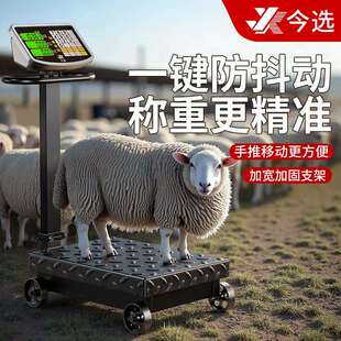 落地电子秤商用台秤摆摊高精度600公斤家用电子称地磅秤工业计数