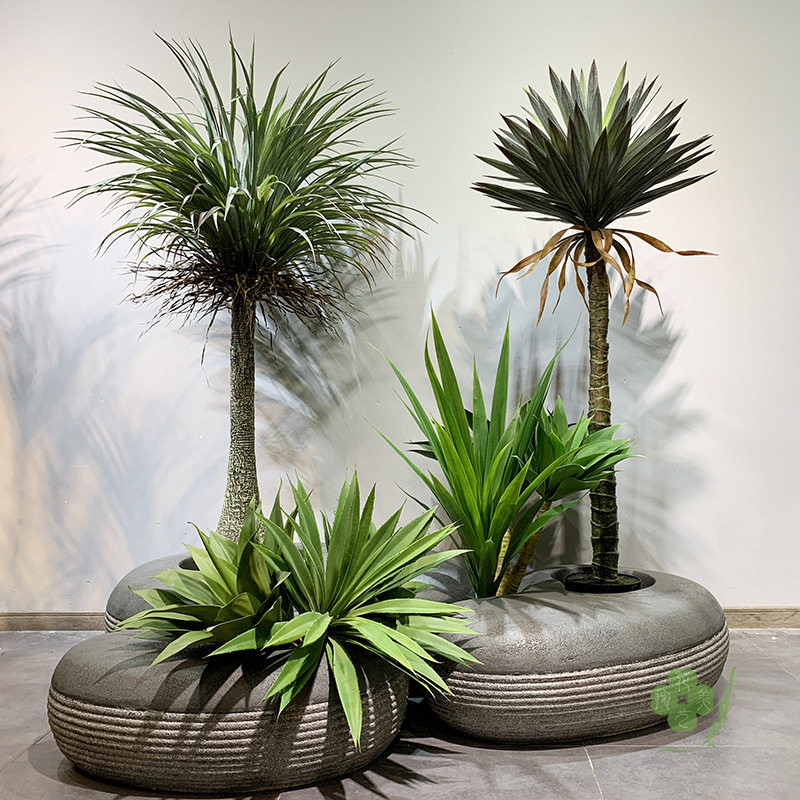 仿真龙舌兰虎皮兰剑麻叶假树室内沙漠植带装饰造景绿热栽盆物摆件