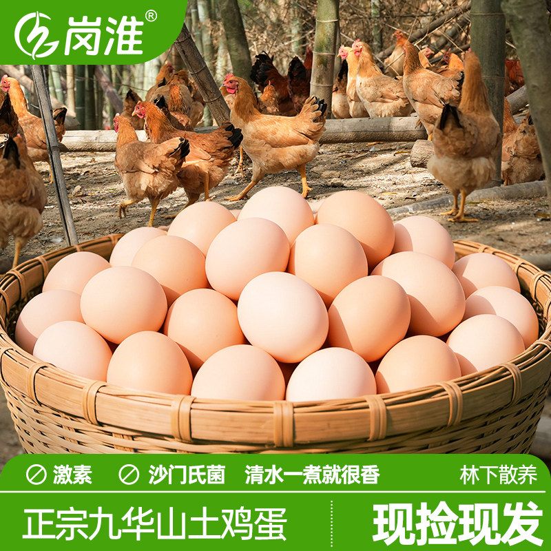 岗淮散养土鸡蛋谷物鲜鸡蛋30枚50枚正宗林地新鲜包邮乌柴笨草现捡,水产肉类/新鲜蔬果/熟食,鸡蛋,淘宝优惠券,粉丝福利购,淘宝优惠卷