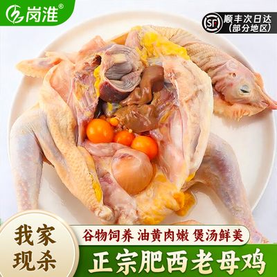 农家散养现杀新鲜整只老母鸡顺丰
