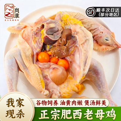 农家散养现杀新鲜整只老母鸡顺丰