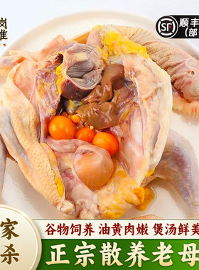 农家散养现杀新鲜整只老母鸡顺丰
