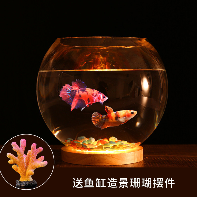 创意客厅小型桌面鱼缸玻璃圆形超白热带斗鱼缸夜灯迷你水族箱摆件