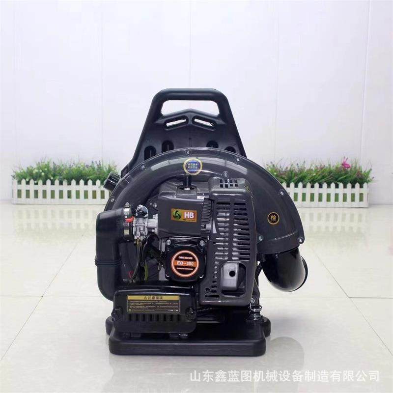 多用途汽油强劲风力吹风机多颜色可选强劲风力大棚吹雪机,模玩/动漫/周边/娃圈三坑/桌游,模型制作工具/辅料耗材,淘宝优惠券,粉丝福利购,淘宝优惠卷